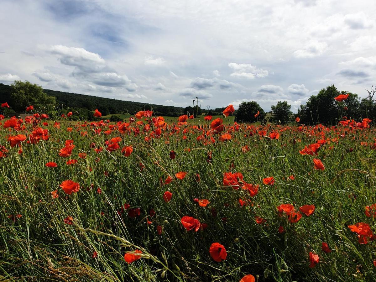 Chalet Le Logis Des Autre Vireux-Wallerand エクステリア 写真