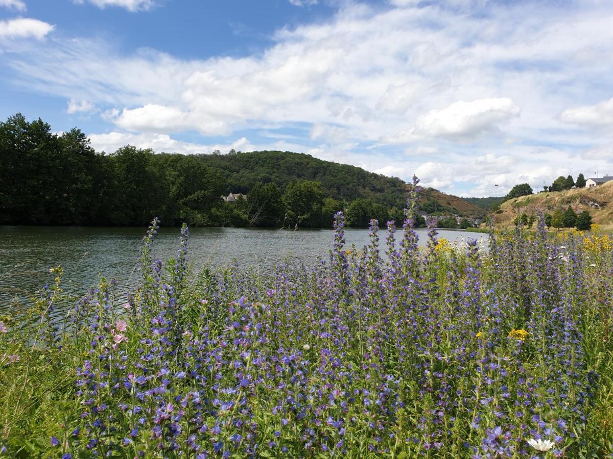 Chalet Le Logis Des Autre Vireux-Wallerand エクステリア 写真