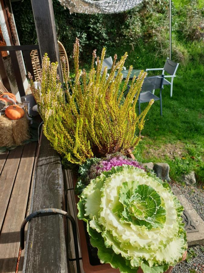 Chalet Le Logis Des Autre Vireux-Wallerand エクステリア 写真